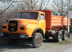 MAN-30240-orange-Schiffner-241207-01