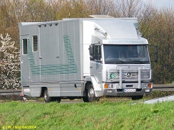 MB-LK-Pferdetransporter-silber-050404-1