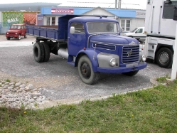 Steyr-586-blau-Palischek-150508-01