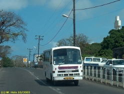 Bus-Isuzu-1
