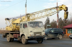 RO-Jelcz-grau-Vorechovsky-290109-01