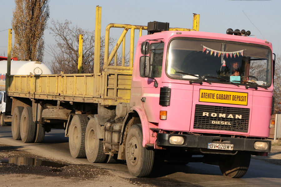 RO-Roman-Diesel-pink-GeorgeBodrug-281108.jpg