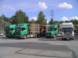 Scania-Holztrans-gruen-(Kammerlander)-0104-1