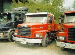 Scania-113-M-Krone-Strauch-310806-01