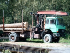 Iveco-160-20T-Holztransporter-alt-(Scholz)