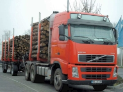 Volvo-FH12-420-Holztrans-rot-Kolmorgen-140105-7