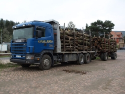 Scania-144-G-460-Eickelmann-Thiele-031209-01