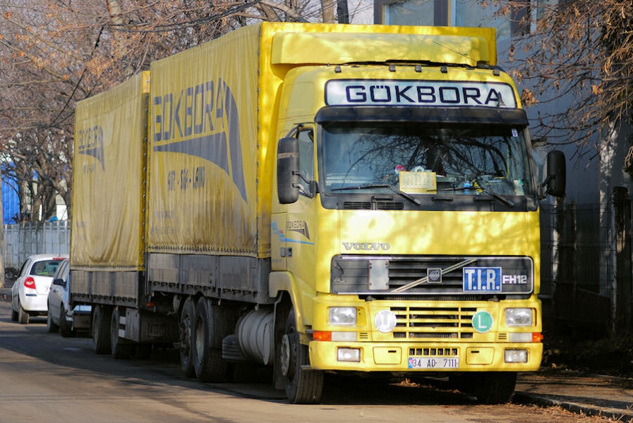 Volvo-FH12-Goekbora-Mihai-210310-01.jpg - Badea Mihai
