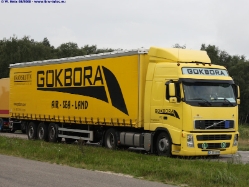 Volvo-FH-480-Goekbora-250808-01