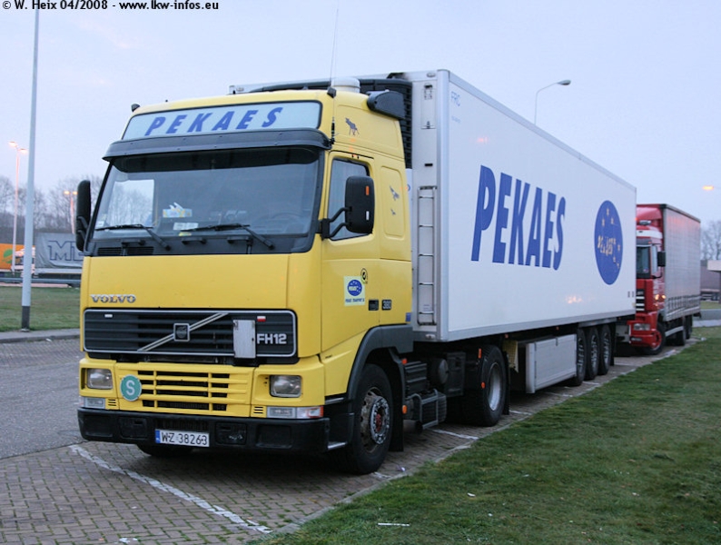 Volvo-FH12-380-Pekaes-110408-01.jpg