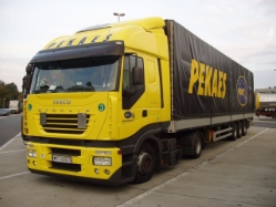 Iveco-Stralis-AS-Pekaes-Holz-231004-1