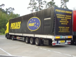 Iveco-Stralis-Pekaes-Holz-231004-1