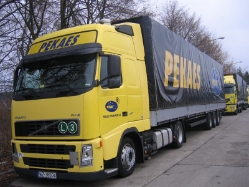 Volvo-FH12-460-Pekaes-Pagaz-280108-01