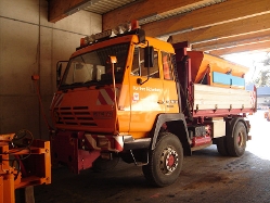 Steyr-19-S-32-4x4-orange-Kdijkers-101208-07
