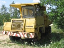 Faun-Kipper-gelb-Vorechovsky-290606-01