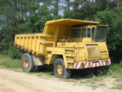 Faun-Kipper-gelb-Vorechovsky-290606-02