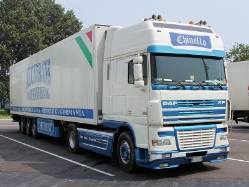 DAF-XF-95480-Chinello-Holz-310807-01-IT