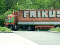 MB-SK-Frikus-Holz-010604-1-AUT