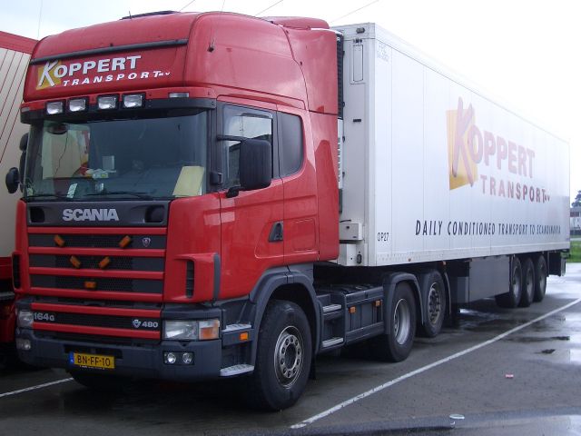 Scania-164-G-480-Koppert-Stober-271204-3.jpg - Ingo Stober