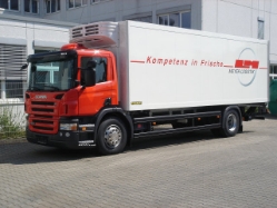 Scania-P-380-Meyer-Strauch-271008-03