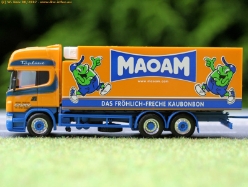 Scania-R-Sturm-Maoam-210807-11