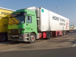 MB-Actros-Poeppel-Holz-170205-02