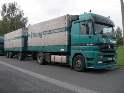 MB-Actros-1848-Streng-Holz-040209-01