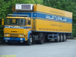 DAF-Sturm-080504-01