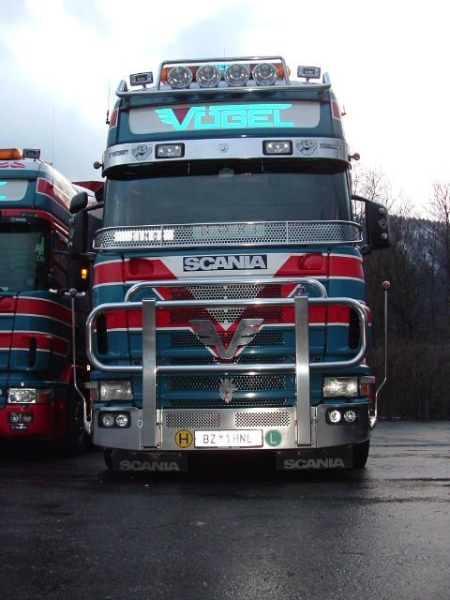 11-Scania-4er-Voegel-(Ben)-1-H.jpg - Ben