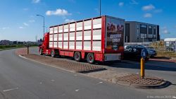 20250329-OCV-Fruehlingstour-Barneveld-Teil-01-00300