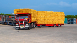 20260926-OCV-Herbsttour-Kootwijkerbroek-Teil-01-00898