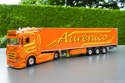 20250616-Aurenico-00028