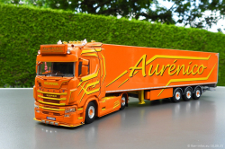 20250616-Aurenico-00029
