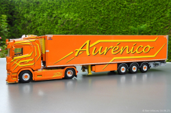 20250616-Aurenico-00040