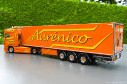 20250616-Aurenico-00047