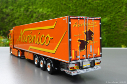 20250616-Aurenico-00051