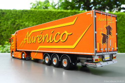 20250616-Aurenico-00052