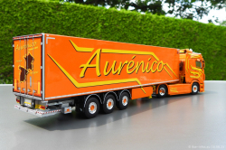 20250616-Aurenico-00059