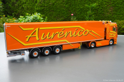 20250616-Aurenico-00067