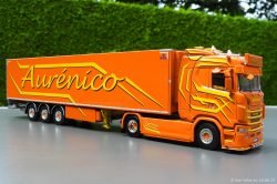 20250616-Aurenico-00081