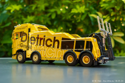 20250518-Dietrich-00014