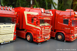 20240317-EIjkel-Fleurs-vd-00625