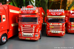 20240317-EIjkel-Fleurs-vd-00657