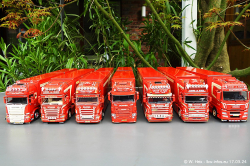 20240317-EIjkel-Fleurs-vd-00602