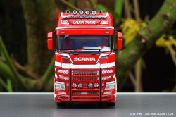 20231207-Laura-Trans-00076