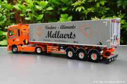 20240328-Mellaerts-00018