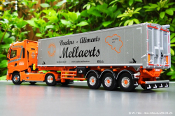 20240328-Mellaerts-00020