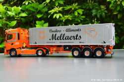 20240328-Mellaerts-00021