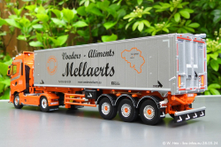 20240328-Mellaerts-00023