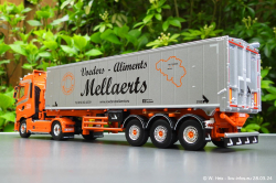 20240328-Mellaerts-00025